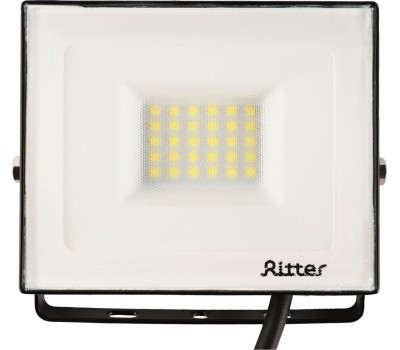 Прожектор светодиодный RITTER 53427 7 PROFI 30 Вт 2700К
