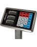 ATLANTA ATH-6113 (gray) Весы торговые электронные напольные