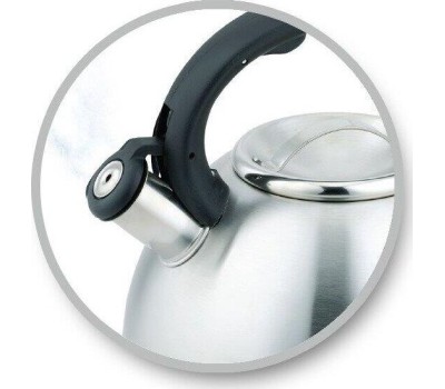 Чайник со свистком LARA LR00-59 4.5 л