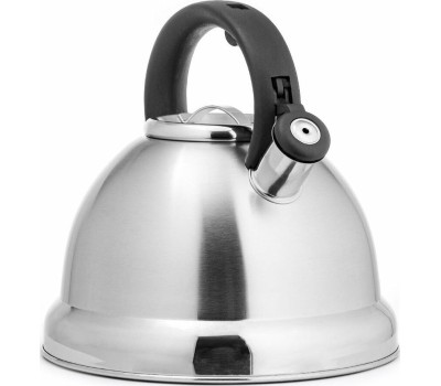 Чайник со свистком LARA LR00-59 4.5 л