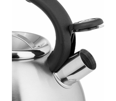 Чайник со свистком LARA LR00-59 4.5 л