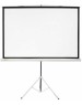 Экраны CACTUS Экран Triscreen CS-PST-104x186, 186х104.4 см, 16:9, напольный черный