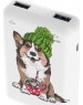 Зарядное устройство RITMIX RPB-10007 Corgi