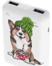 Зарядное устройство RITMIX RPB-10007 Corgi