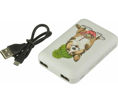 Зарядное устройство RITMIX RPB-10007 Corgi