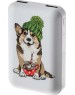 Зарядное устройство RITMIX RPB-10007 Corgi