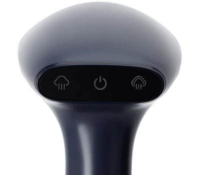 Ручной отпариватель RageX R1002-415, 1800Вт, черничный, КИТАЙ