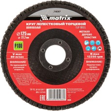 MATRIX Круг лепестковый торцевой, P 100, 125 х 22.2 мм 74047