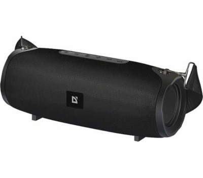 Акустика DEFENDER (65122) G22