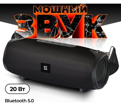 Акустика DEFENDER (65122) G22