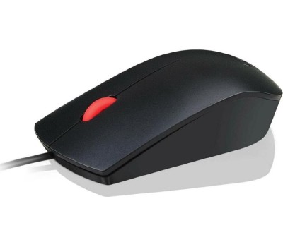 LENOVO Мышь проводная Essential, оптическая, USB, 1600dpi, черный [4y50r20863]