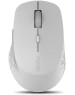 Мышь беспроводная RAPOO M300 Light Grey