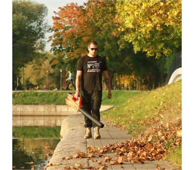 Воздуходувка PATRIOT 755202411 СВ411 (Без ЗУ и АКБ)