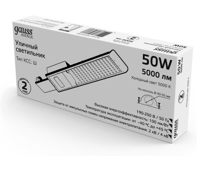 GAUSS Светильник консольный 629534350, 629534350, черный