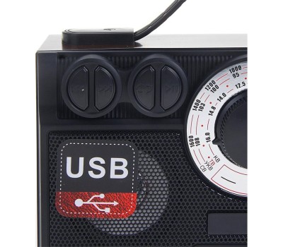 Радиоприемник БЗРП РП-304 УКВ 64-108МГц, бат. 4*R20, 220V, USB/SD, 2 динамика