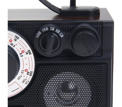 Радиоприемник БЗРП РП-304 УКВ 64-108МГц, бат. 4*R20, 220V, USB/SD, 2 динамика