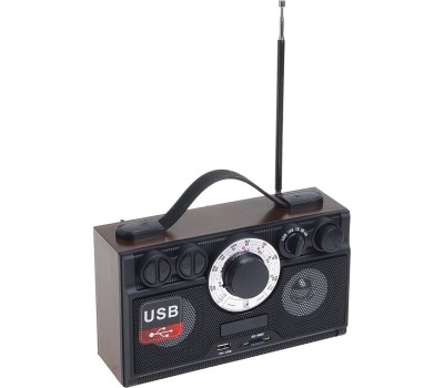 Радиоприемник БЗРП РП-304 УКВ 64-108МГц, бат. 4*R20, 220V, USB/SD, 2 динамика