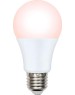 Лампа декоративная светодиодная UNIEL (UL-00003189) для птиц LED-A60-9W/SCEP/E27/FR/DIM IP65 PLO65WH