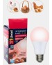 Лампа декоративная светодиодная UNIEL (UL-00003189) для птиц LED-A60-9W/SCEP/E27/FR/DIM IP65 PLO65WH