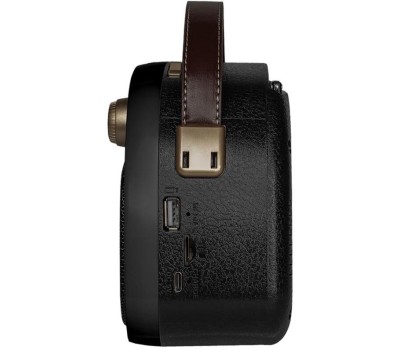 RITMIX Радиоприемник RPR-040, черный