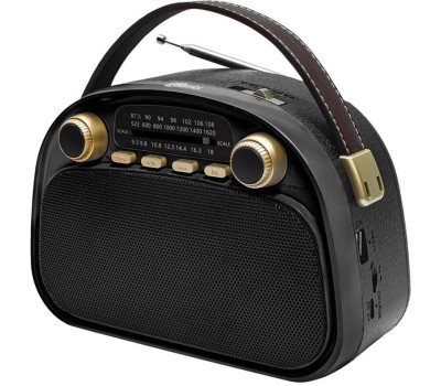 RITMIX Радиоприемник RPR-040, черный