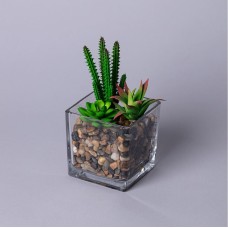 Искусственные цветы LEFARD 535-401 СУККУЛЕНТ В ПРОЗРАЧНОМ ГОРШКЕ 11*17см