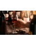 CASO Винный шкаф однокамерный WineComfort 38 вместимость: 38 бутылок, нержавеющая сталь/черный