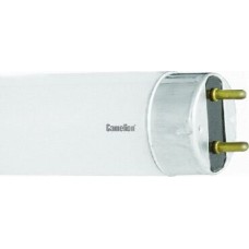 Лампа CAMELION (3005) FT8 18W/54 DAY LIGHT 6500K/18 Ватт