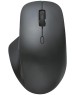 Мышь беспроводная RAPOO M50 PLUS Black