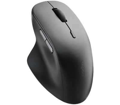 Мышь беспроводная RAPOO M50 PLUS Black