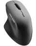 Мышь беспроводная RAPOO M50 PLUS Black