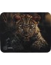 Коврик для мыши CACTUS Коврик для мыши Leopard рисунок, ткань, 250х200х3мм [cs-mp-d06s]
