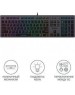 A4TECH Клавиатура Fstyler FX60, проводная, USB, ножничная, серый [fx60 grey / white]