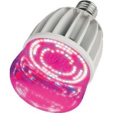 Лампа декоративная светодиодная UNIEL (11098) LED-M80-20W/SP/E27/CL ALS55WH
