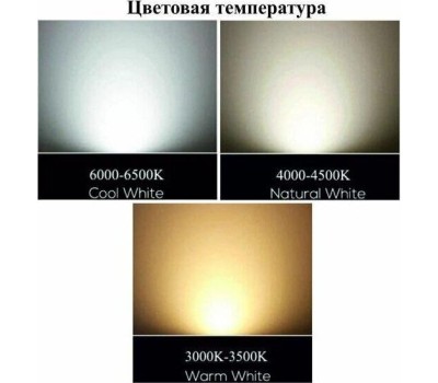 Прожектор ULTRAFLASH (12317) LFL-5001 C02 черный