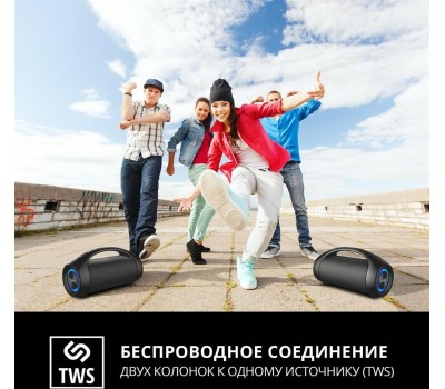 Акустика портативная SVEN PS-370