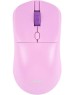 ACER Мышь OMR501 фиолетовый оптическая 1600dpi silent беспров. USB 4but (ZL.MCE11.017)