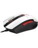 A4TECH Мышь проводная Bloody L65 Max, игровая, оптическая, USB, 12000dpi, белый и рисунок [l65 max naraka]