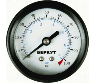 Авто-компрессор БЕРКУТ R17