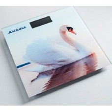 Весы АКСИНЬЯ КС-6010 