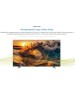 TCL 65P6K (ИМП) / 4K Smart телевизоры 61-70