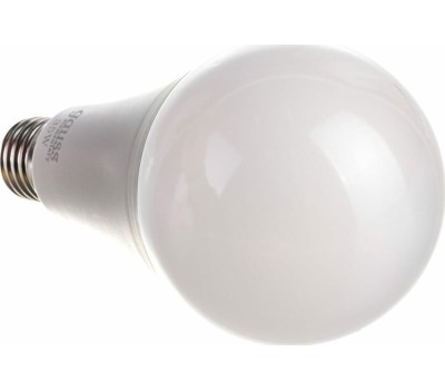 GAUSS Лампа LED E27, груша, 35Вт, A67, одна шт. [70225]