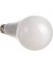 GAUSS Лампа LED E27, груша, 35Вт, A67, одна шт. [70225]