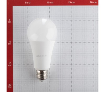 GAUSS Лампа LED E27, груша, 35Вт, A67, одна шт. [70225]