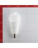 GAUSS Лампа LED E27, груша, 35Вт, A67, одна шт. [70225]