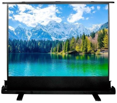 Экраны CACTUS Экран FloorExpert CS-PSFLE-160X120, 160х120 см, 4:3, напольный
