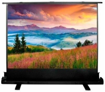 Экраны CACTUS Экран FloorExpert CS-PSFLE-160X120, 160х120 см, 4:3, напольный
