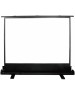 Экраны CACTUS Экран FloorExpert CS-PSFLE-160X120, 160х120 см, 4:3, напольный