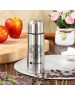 Термос для еды DANIKS SL-200MY (316133)