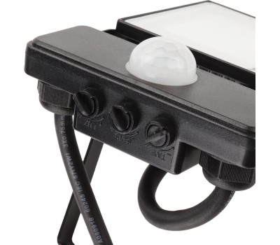 Прожектор светодиодный RITTER 53420 8 PROFI 20 Вт 6500К с датчиком движения черный